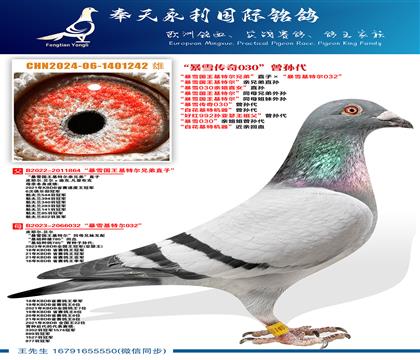 ����ѩ�������ض��ֵܡ�ֱ�ӡ�����ѩ���ض�032������ѩ030