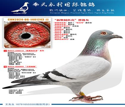 ���°���ƥ�ˡ�ֱ�����ŷԪ�š�ֱ��Ů ���°���ƥ�ˡ�����Ů