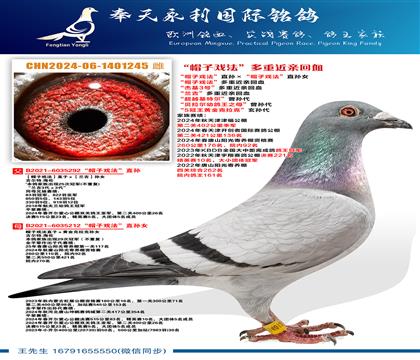 ��ñ��Ϸ����ֱ�����ñ��Ϸ����ֱ��Ů ��ñ��Ϸ�������ؽ��׻�