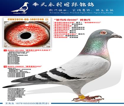 ����ѩ�������ض��ֵܡ�ֱ�ӡ�����ѩ���ض�032�� ����ѩ����