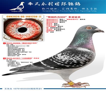 ������ƥ��003��ֱ���������ƥ��003��ֱ��Ů ������ƥ��