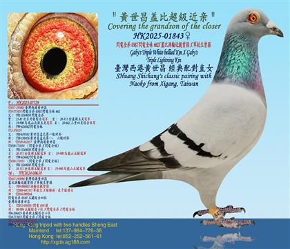 �W�ȫ��038X�W�ȫ��662X�w�Ȝu݆���H���OX܊У�����O