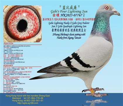 �w���W�ֱ��X�w�Ȼ��M(f��i)�à��OX�������ϲ���X�w�������W늌O