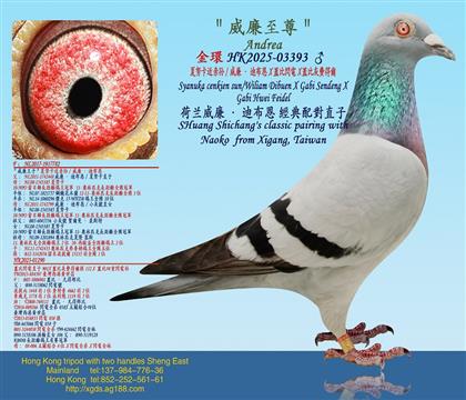 ��Ŭ�����H�O/�������ϲ���X�w���W�X�w�Ȼ��M(f��i)�à�