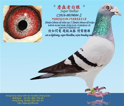 �Ϲ���/���B��ղɭ�ϰ���X���B��ղɭ�ϻ��