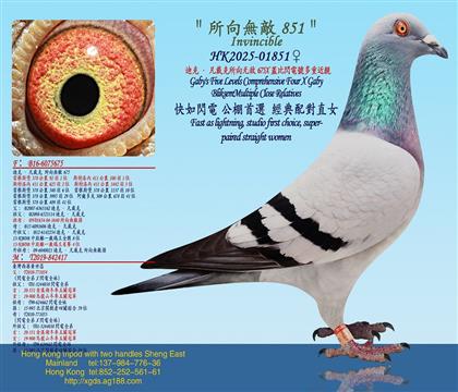 ���Ͽˡ�����������o��675X�w���W�̖(h��o)���ؽ��H