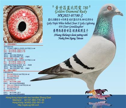 �w�����P(gu��n)�C��4λ����823X�w���W�038���H�OŮ