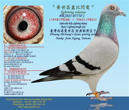 �����ذ׸�X�W늽��H��X����?sh��)�ȫ��X�W�ֱŮ��