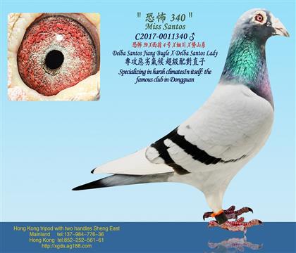 �ֲ�59 X ����4̖(h��o)X��(x��)��X��(sh��)ɽϵ