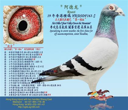 �Ϲ���/�����x�ϵҠ��͡���һ�CѪ��