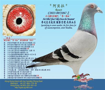 �����x�ϵҠ��͡���һ�CѪ��