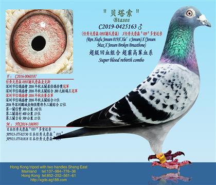 �������ղɭ019X �x��ղɭ��X �����ղɭ��019������