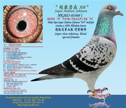 ����(j��)ղɭ��019�����ؽ��HX ���B����ղɭXղɭ����˹X ղ