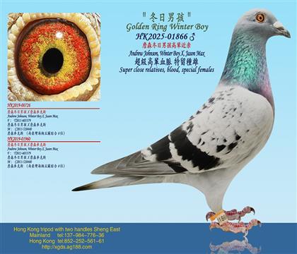 ղɭ�����к���݅���H