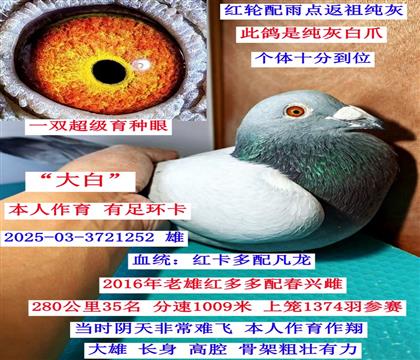 ���t��ࡱ����ֱ��