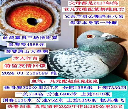 ���t��ࡱ����ԭ�䌦����һ�N�ơ��Ͻ���ֱŮ��