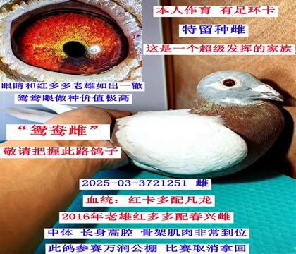 ���t��ࡱ����ֱŮ