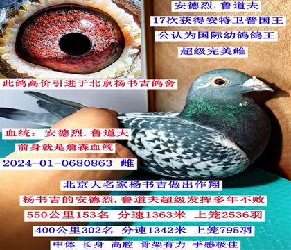 ���������җ������������.��?sh��)���? width=