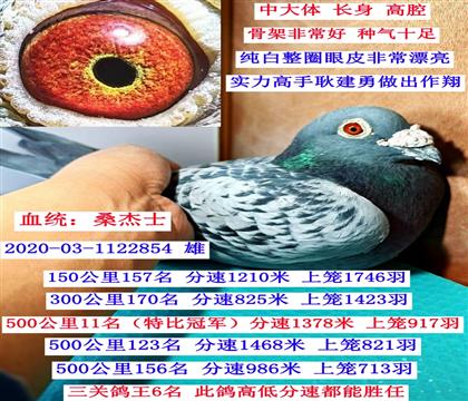 ���P(gu��n)����6�����رȭh(hu��n)���P(gu��n)��܊��