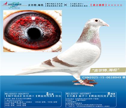 һ�P(gu��n)�ϰ�������������.����