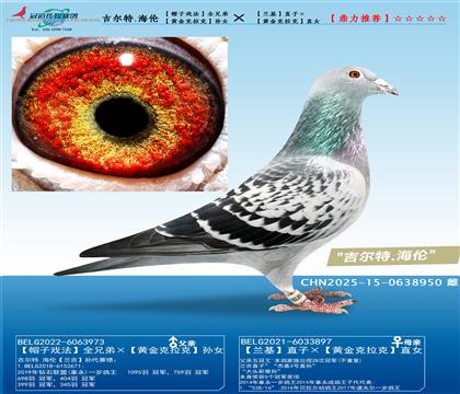 һ�P(gu��n)�ϰ�������������.����