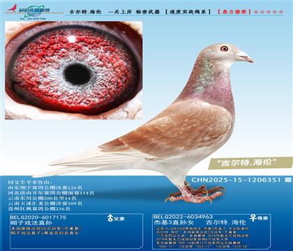 һ�P(gu��n)�ϰ�������������.���� ������������