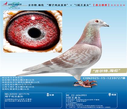 һ�P(gu��n)�ϰ�������������.���� ������������