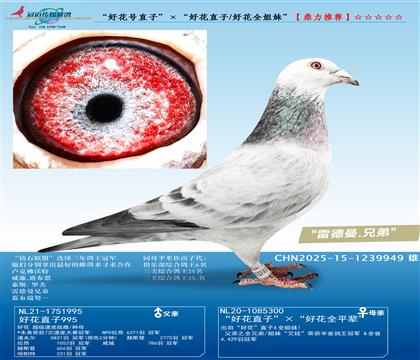 �׵������û�ֱ̖�ӡ������û�ֱ��/�û�ȫ���á�