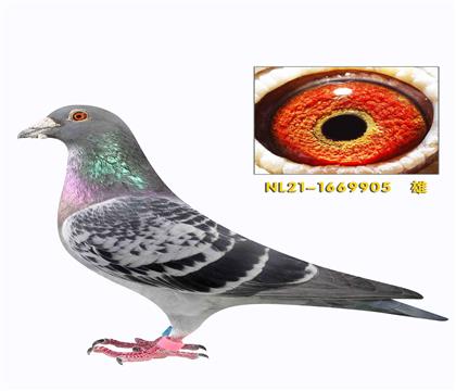 �ہ����ո�������905