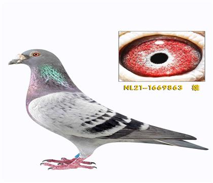 �ہ����ո��Ӻû�ȫ������O863