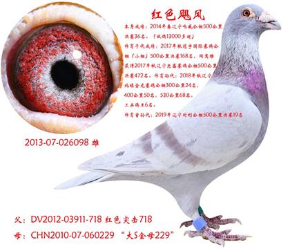 �tɫ�Z�L(f��ng)������������