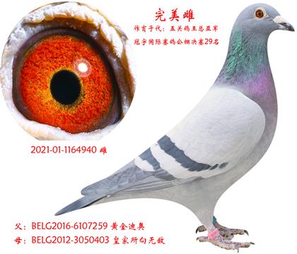 �����ƣ�����Qِ29��ĸ�H��