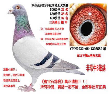 �|������x����o����22���＾������܊��