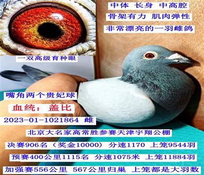 ���蹫�彩(ji��ng)�����w�ȣ�