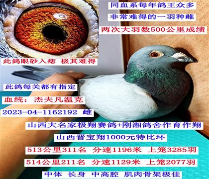 �ɿ�(j��)�N�ƣ��ܷ򷲜ؿˣ�