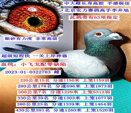 ��ζ̳̿��f��С�w�꣩