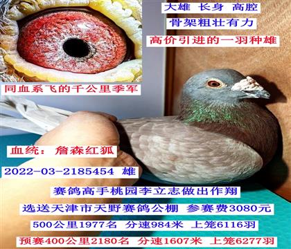 ����(j��)�N�ۣ�ղɭ�t����