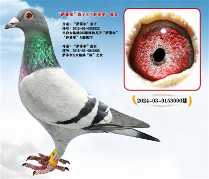 ���_�Ơ���ֱ��X���_�Ơ���ֱŮ���Hֱ�O