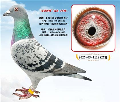 �������Ɯ�ķ���Hֱ�O