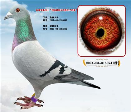 ʯ����ɣ��ʿ���W늋���X������ͯ