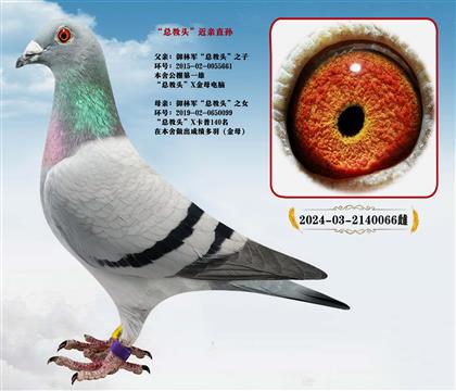 ����܊�������^��ֱ��X�������^��ֱŮ���Hֱ�O