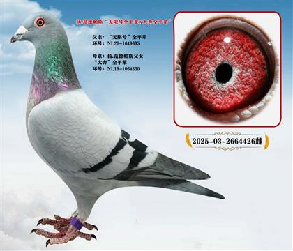 ��.������˹���o��̖��ȫƽ݅��X���󱼡�ȫƽ݅