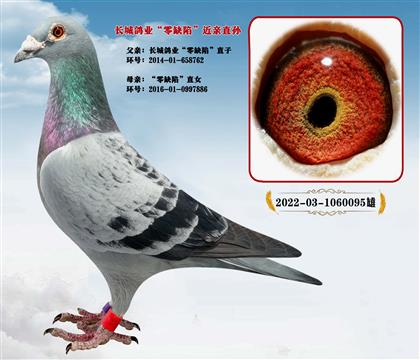 �L�����I(y��)����ȱ�ݡ����Hֱ�O