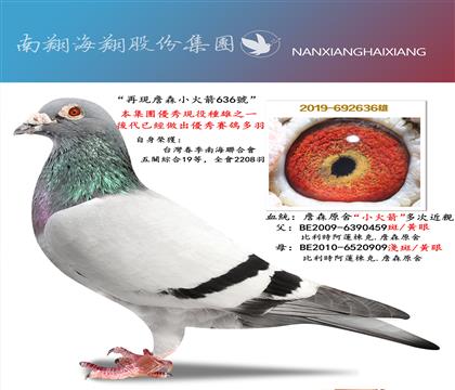 ���]���٬F(xi��n)ղɭС���636̖(h��o)�����P(gu��n)�C��19��