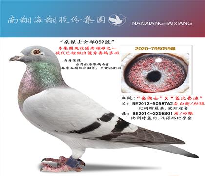 ������ɣ��ʿŮ��059̖(h��o)�����P(gu��n)�C��33��