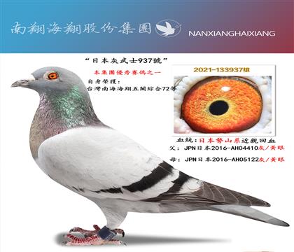 ���ձ�����ʿ937̖(h��o)�����P(gu��n)�C��72��