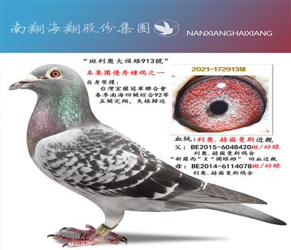 ���]�����������W���^��913̖(h��o)�����P(gu��n)�C��92��