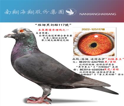 ���Sķ�\����117̖(h��o)�����P(gu��n)�C��22��