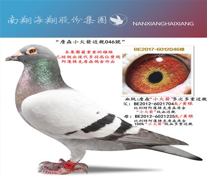 ���c(di��n)���]����ղɭС���204̖(h��o)��ղɭԭ�h(hu��n)�N��