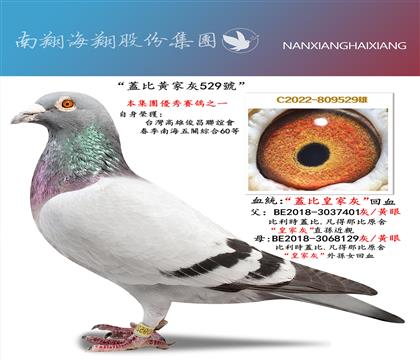 �������w���S�һ�529̖(h��o)��